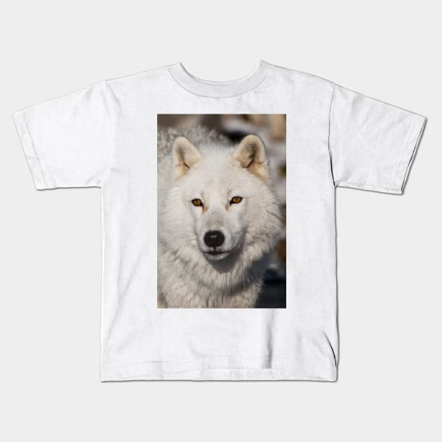 Arctic Wolf Kids T-Shirt by jaydee1400